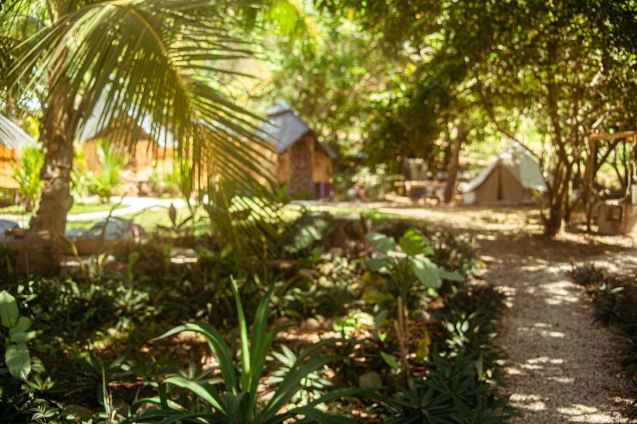 Auberge de jeunesse Lost Boyz à Playa Santa Teresa  Extérieur photo