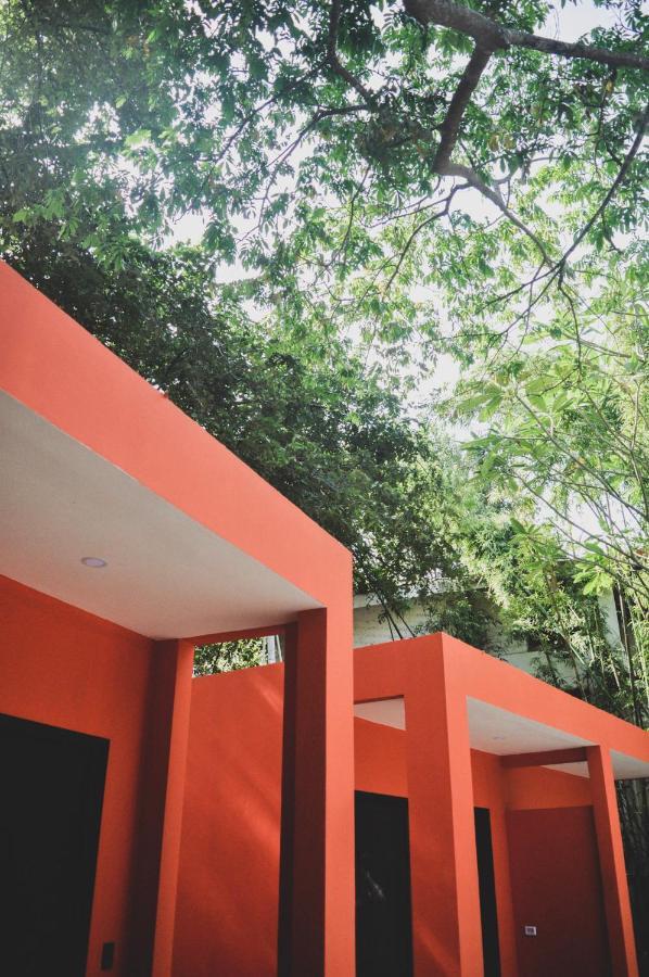 Auberge de jeunesse Lost Boyz à Playa Santa Teresa  Extérieur photo