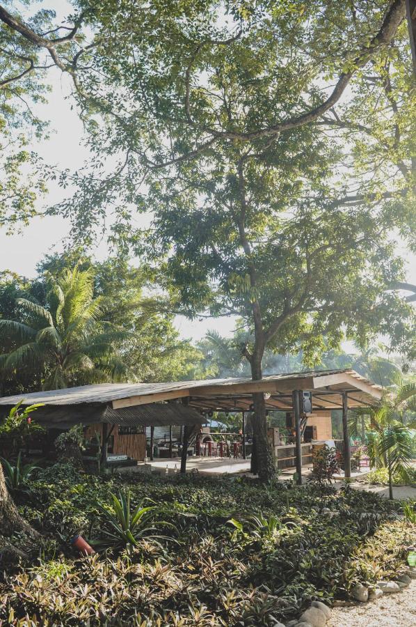 Auberge de jeunesse Lost Boyz à Playa Santa Teresa  Extérieur photo